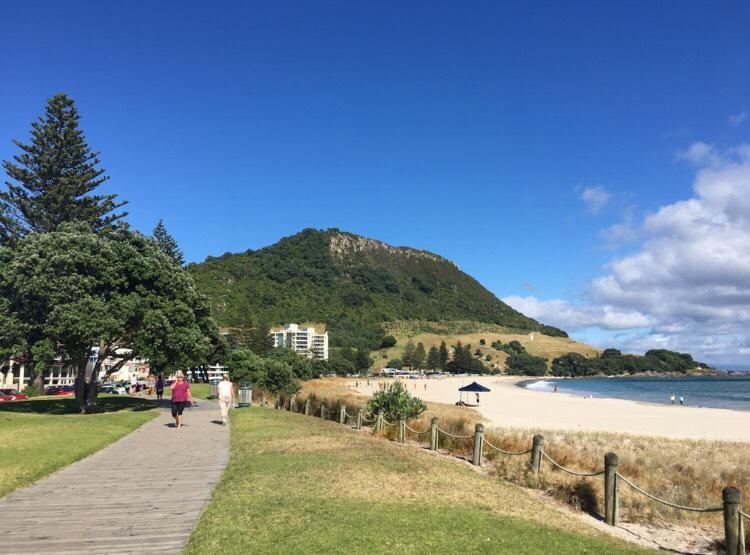 Victoria Road B&B Mount Maunganui Eksteriør billede